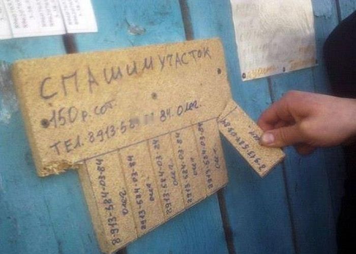 Порция картинок