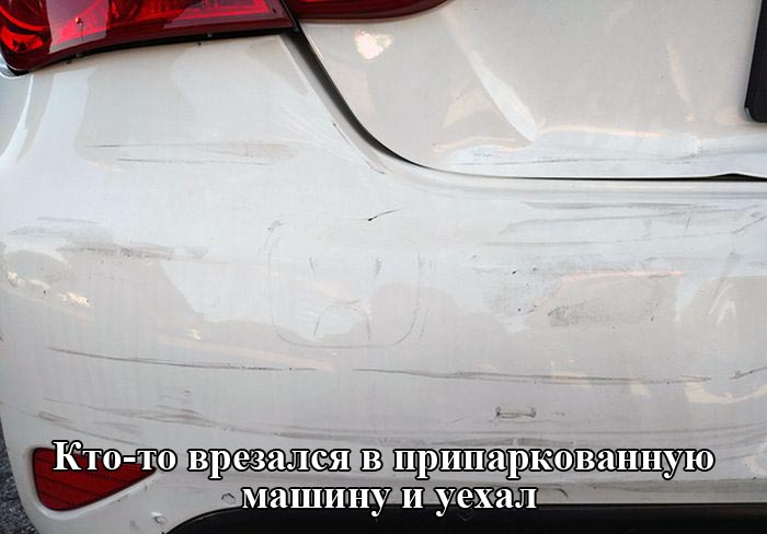 Порция картинок