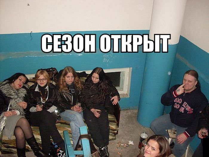Порция картинок
