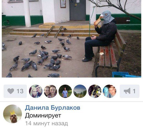 Порция картинок