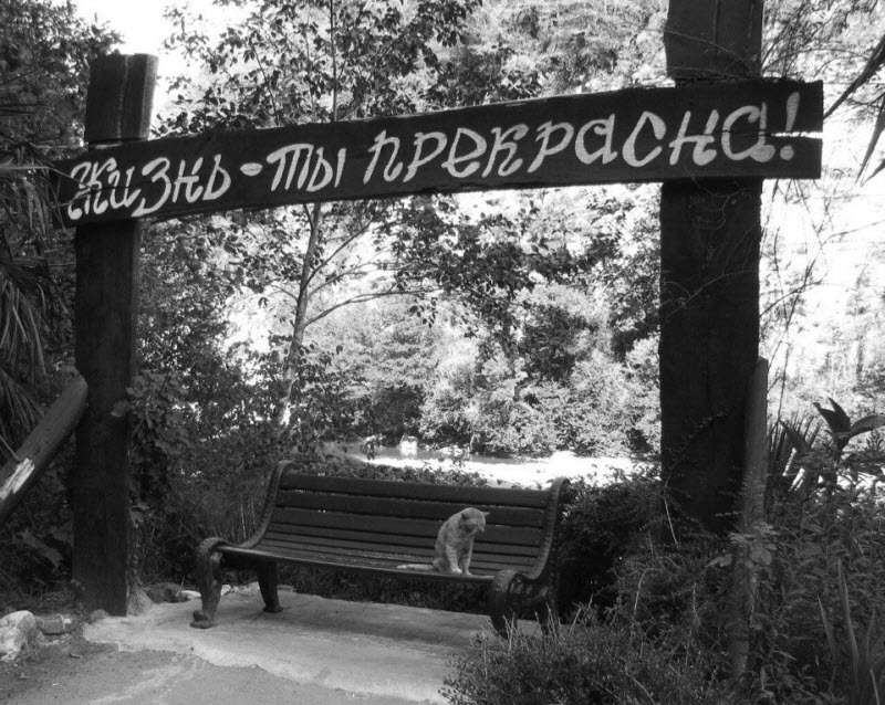 Удивительные снимки с российских просторов