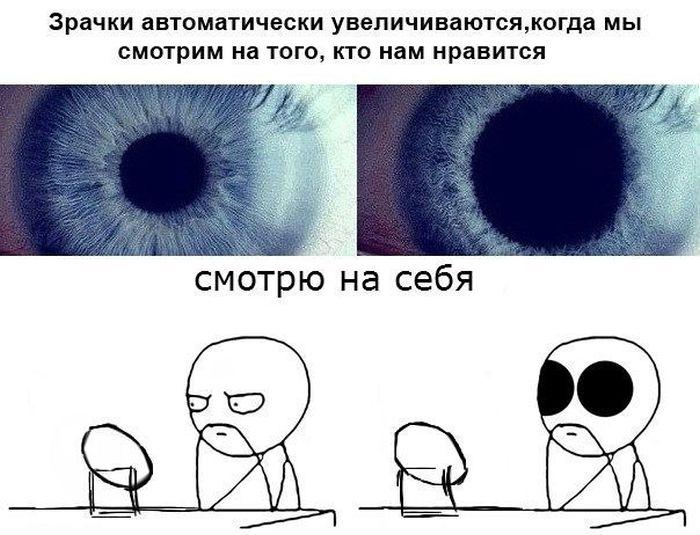 Прикольные комиксы (31 фото)
