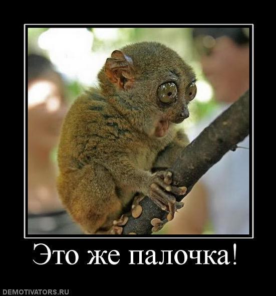 Демтиваторы (63 фото)