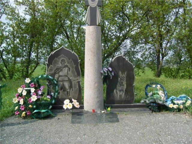 Собачья война Собачья война