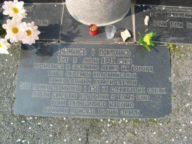 Собачья война Собачья война