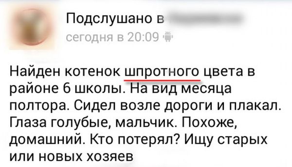 Забавные комментарии из социальных сетей