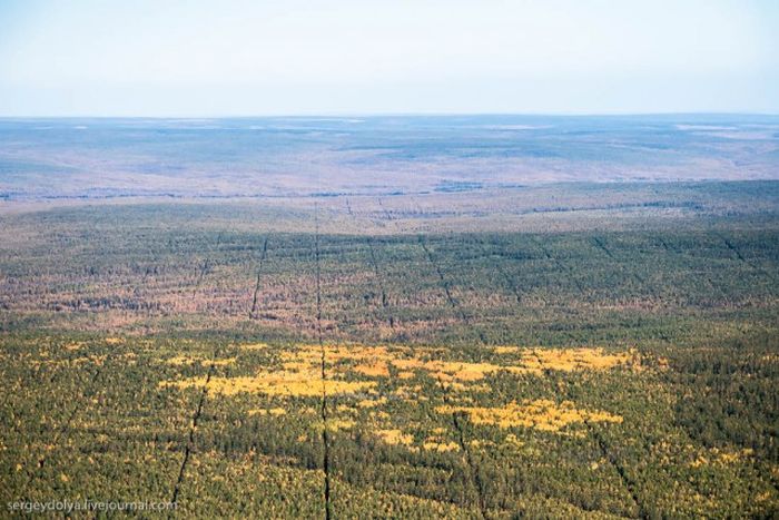 Загадочные полосы в глухой якутской тайге