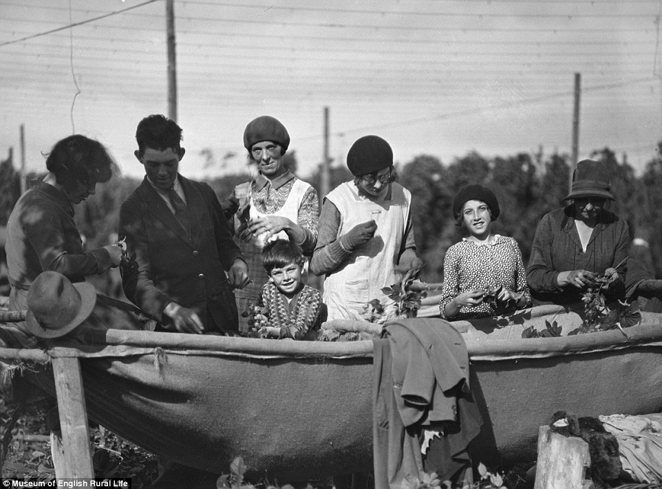 Забытые традиции британской сельской жизни в исторических фотографиях Забытые традиции британской сельской жизни в исторических фотографиях