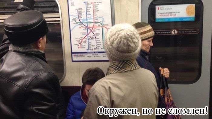 Прикольные картинки (81 фото)