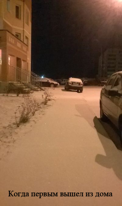 Прикольные картинки (81 фото)