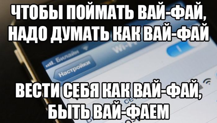 Прикольные картинки (81 фото)