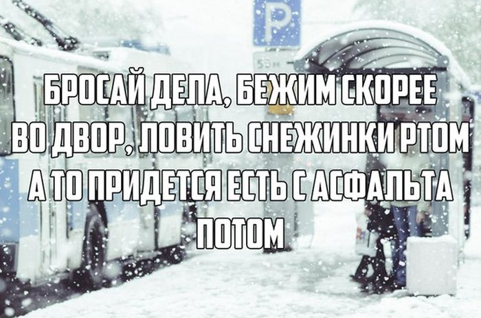 Прикольные картинки (81 фото)