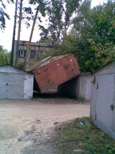 Порция картинок