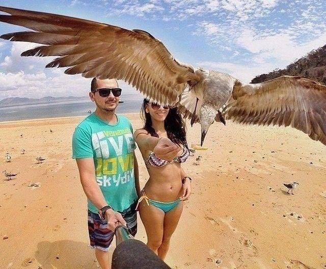 Яркие фотографии вместо тысячи слов