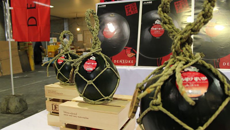 Самые дорогие блюда планеты Самые дорогие блюда планеты