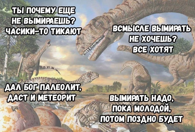Забавные картинки без смысловой нагрузки