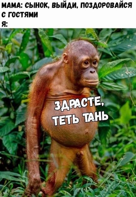 Юмор и шутки на тему: "Когда вам не рады"