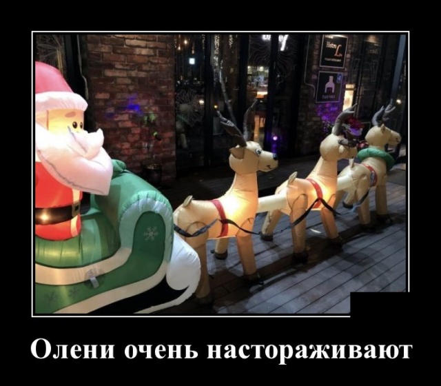 Демотиваторы