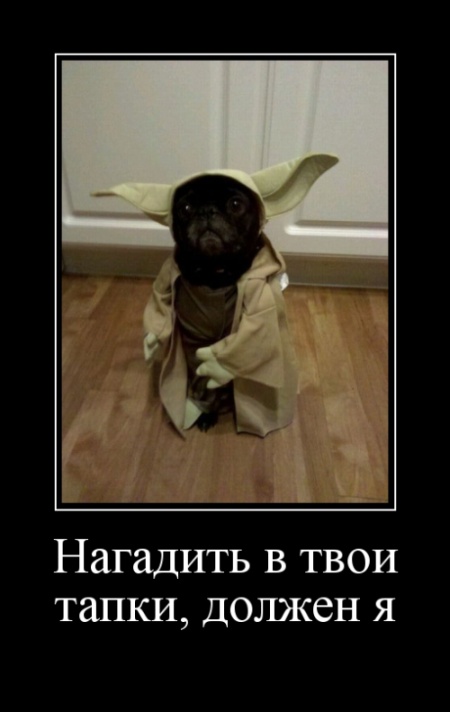 Демотиваторы