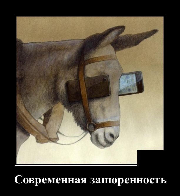 Демотиваторы