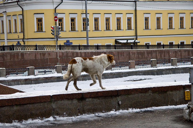 Утро 1 января в Москве (20 фото) Утро 1 января в Москве (20 фото)