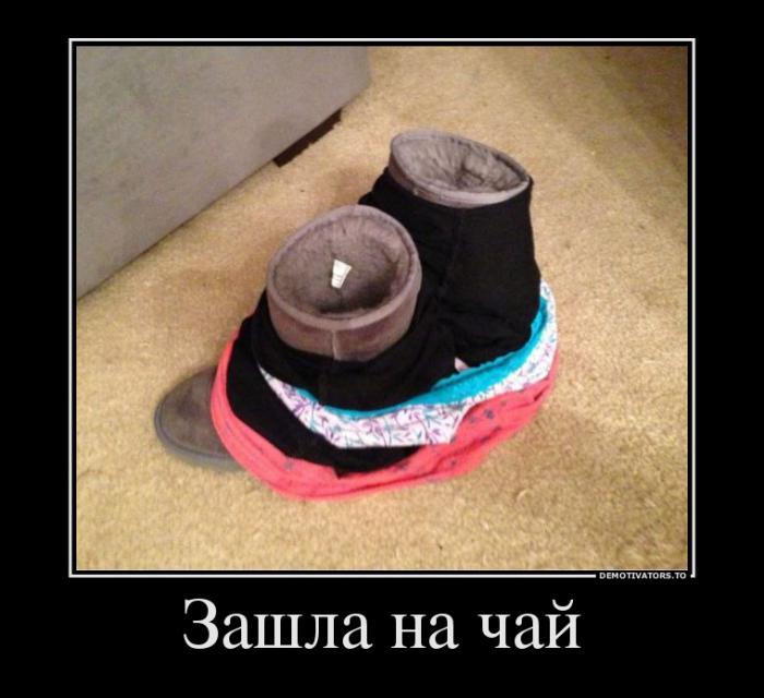 Демотиваторы (59 фото)