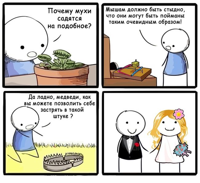 Порция картинок