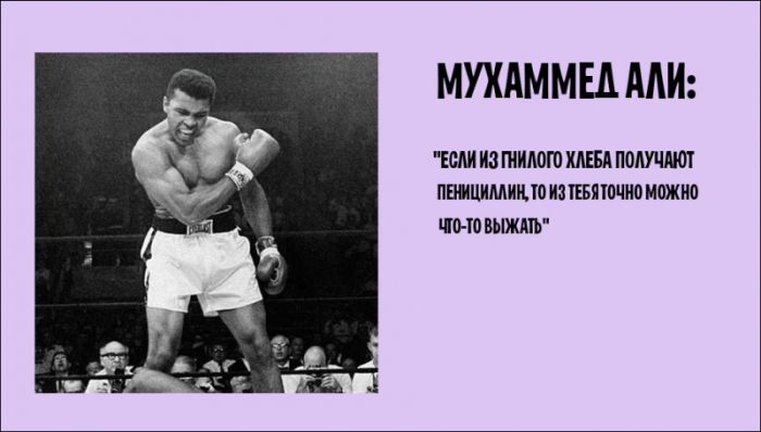 Порция картинок
