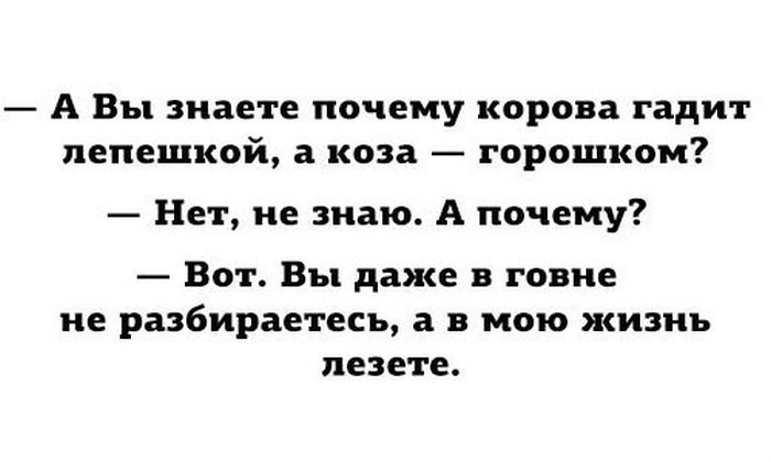 Порция картинок