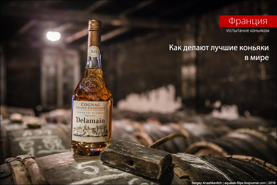 Как делают лучшие коньяки в мире Как делают лучшие коньяки в мире