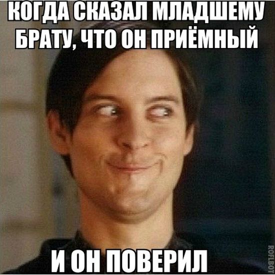 Порция картинок