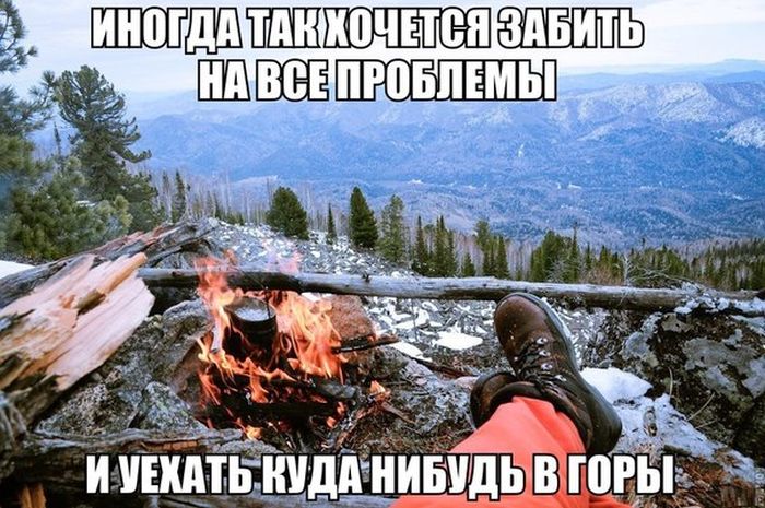 Порция картинок