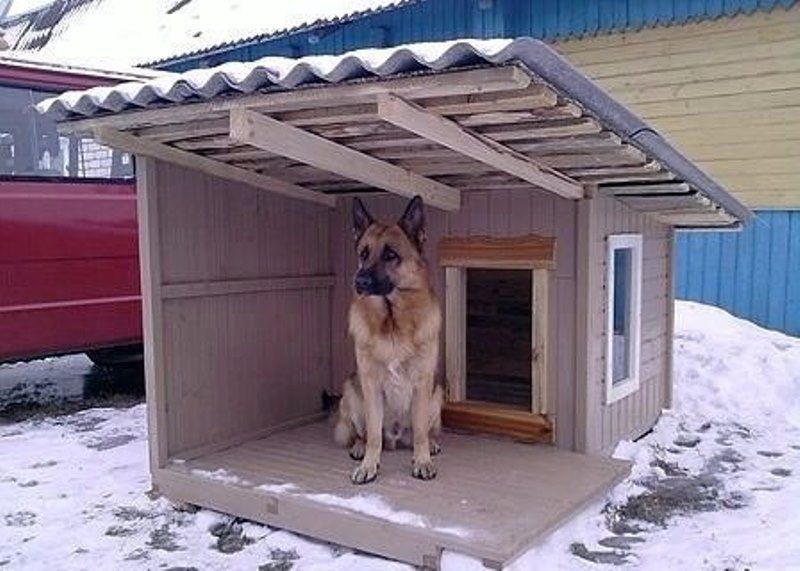 Прикольные картинки (146 фото)
