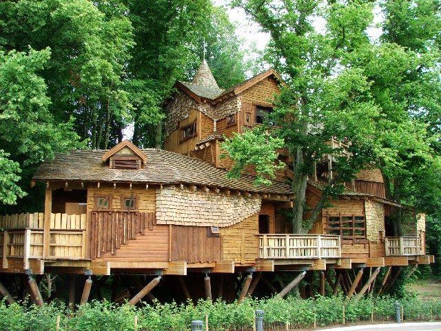 Деревья были раньше: 17 домов, доказывающих что не обязательно рубить деревья, чтобы что-нибудь построить Деревья были раньше: 17 домов, доказывающих что не обязательно рубить деревья, чтобы что-нибудь построить