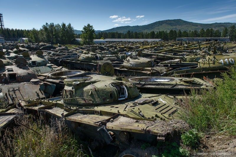 Военная техника, проглоченная дикой природой