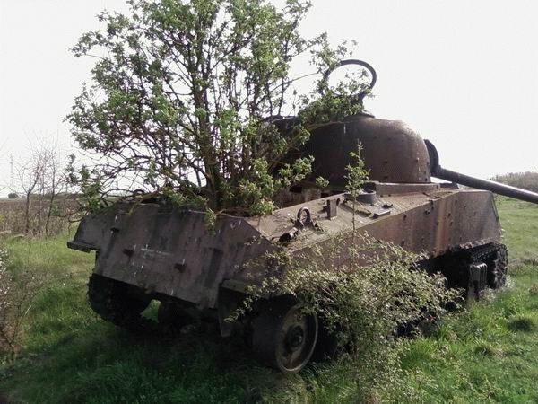 Военная техника, проглоченная дикой природой