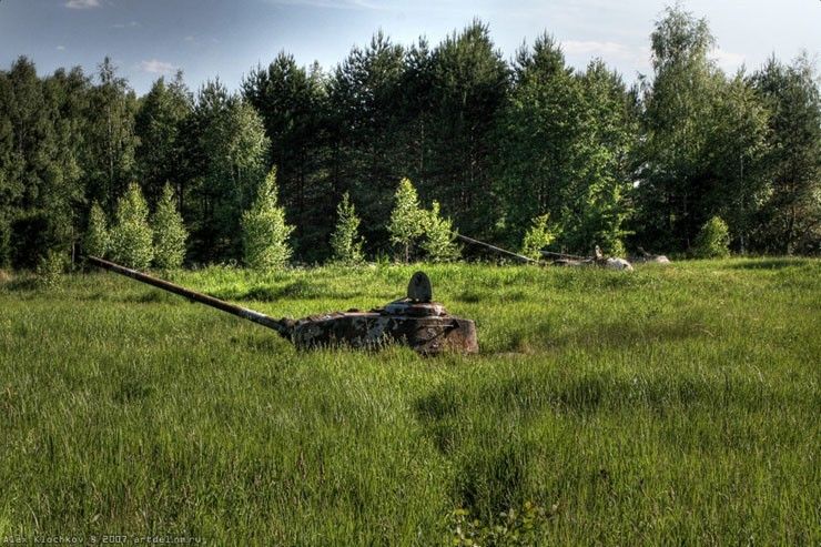 Военная техника, проглоченная дикой природой