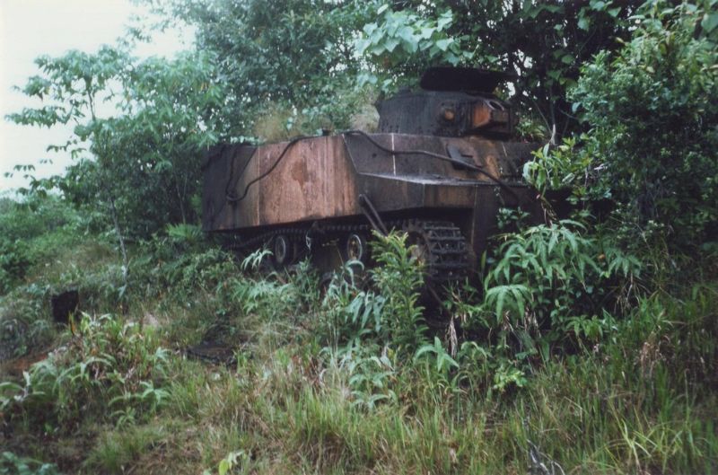Военная техника, проглоченная дикой природой