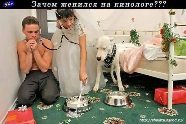 Взрослый юмор ниже пояса!