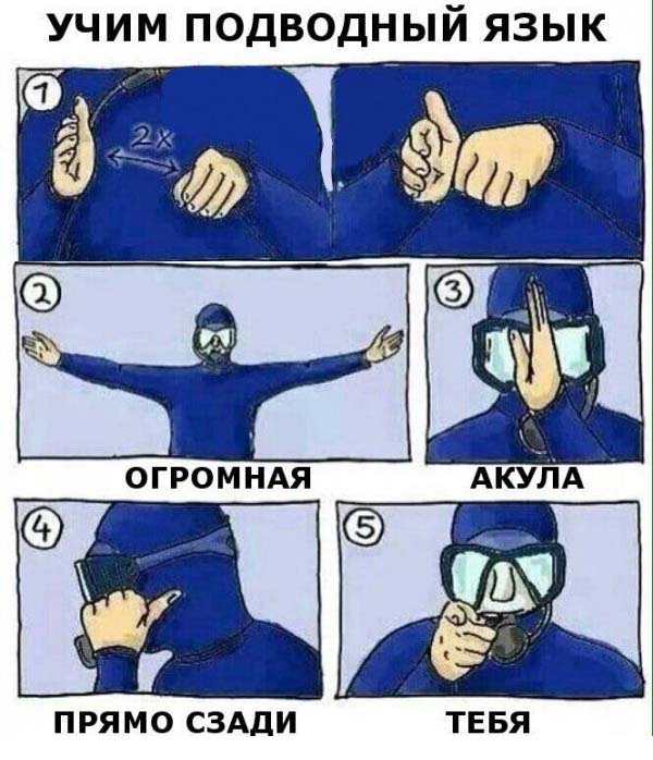 Подборка легкого юмора
