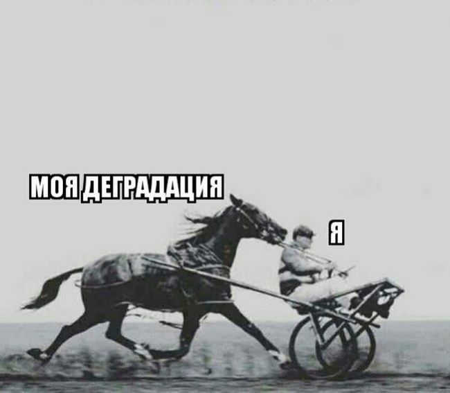 Подборка легкого юмора