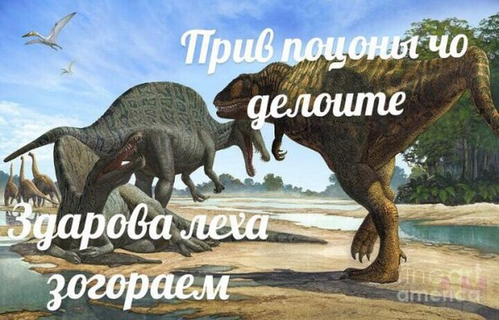 Подборка легкого юмора