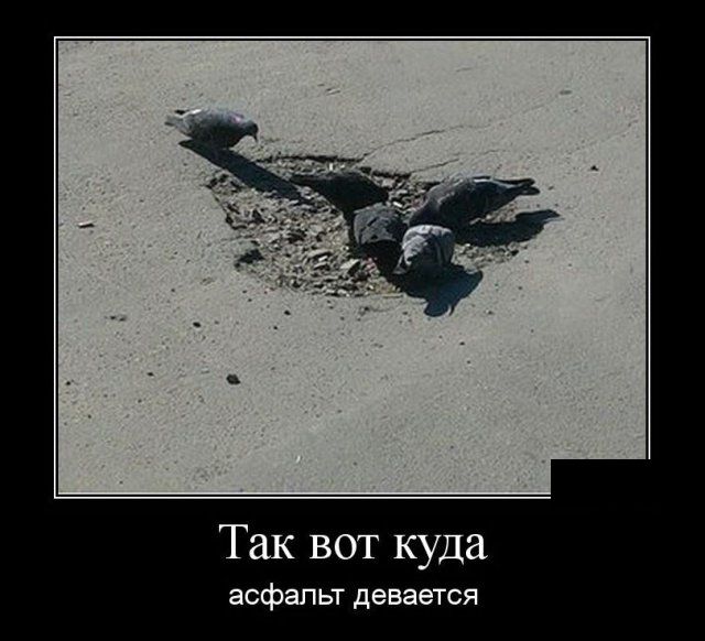 Демотиваторы