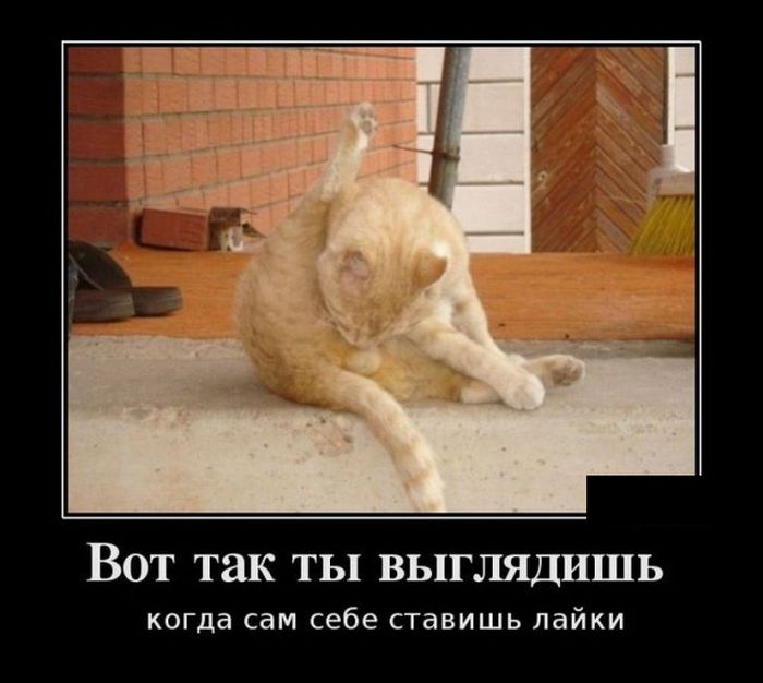 Демотиваторы