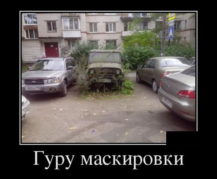 Демотиваторы