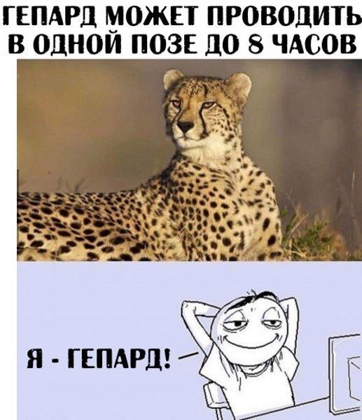 Смешные комиксы