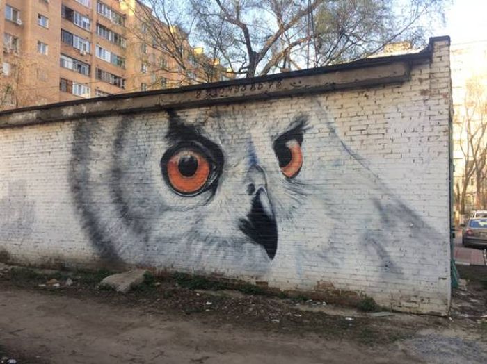 Прикольные картинки