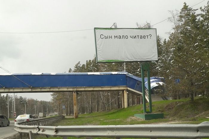 Прикольные картинки