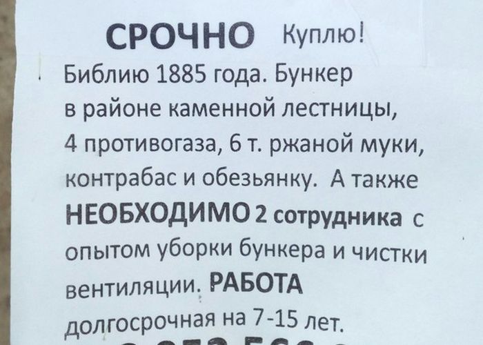 Прикольные картинки