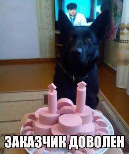 Прикольные картинки